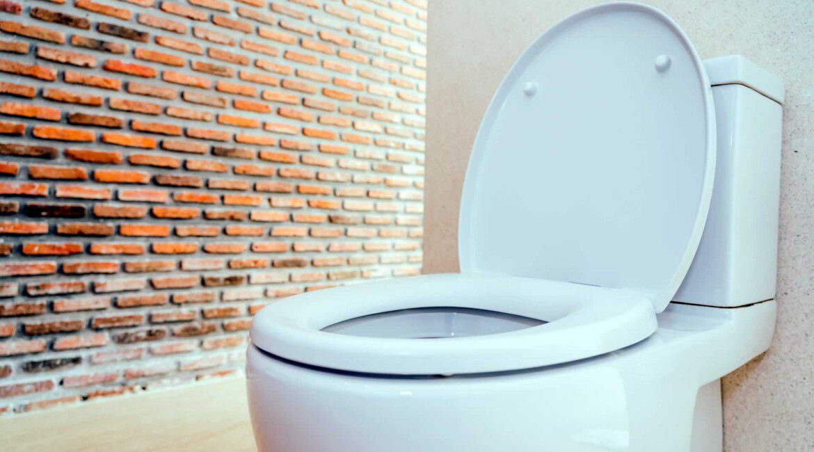 Your Ultimate Guide To Selecting A Toilet